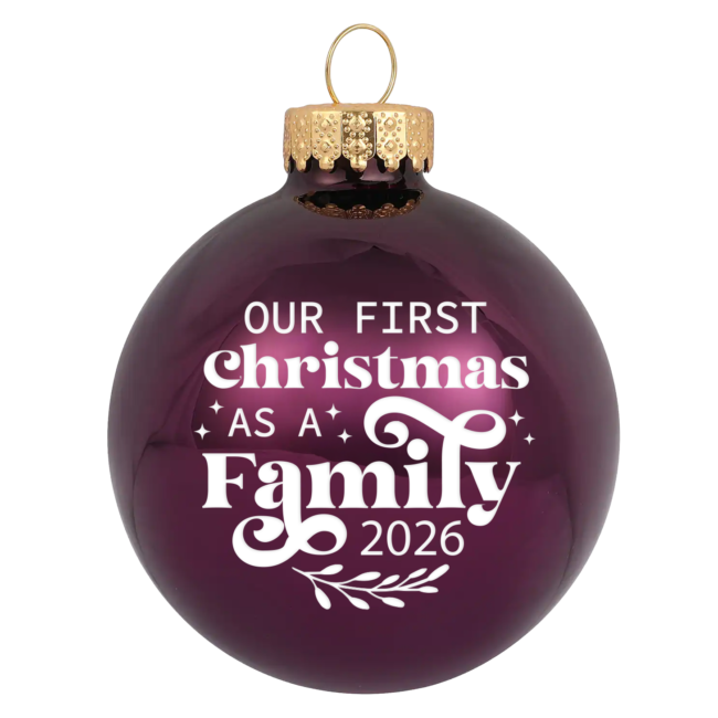 First Christmas as Family 2